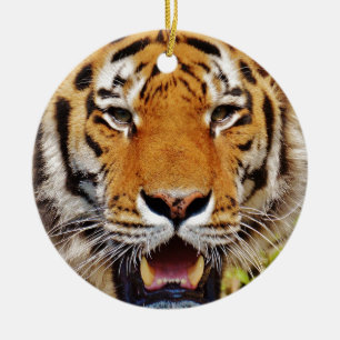 Ornamento De Cerâmica Tigre