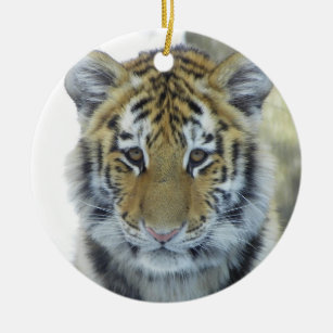 Ornamento De Cerâmica Tigre Cub no fim da neve acima do retrato