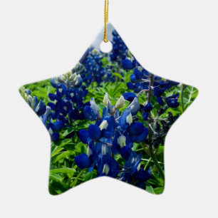 Ornamento De Cerâmica Tigrinhas Floral Azul Texas Texano Elegante