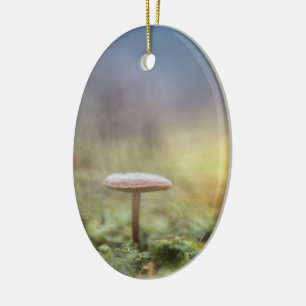 Ornamento De Cerâmica Tiny Mushroom Nature Foto