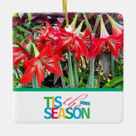 Ornamento De Cerâmica Tis the Season 'Amaryllis' Ornament
