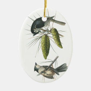 Ornamento De Cerâmica Titmouse adornado, John Audubon