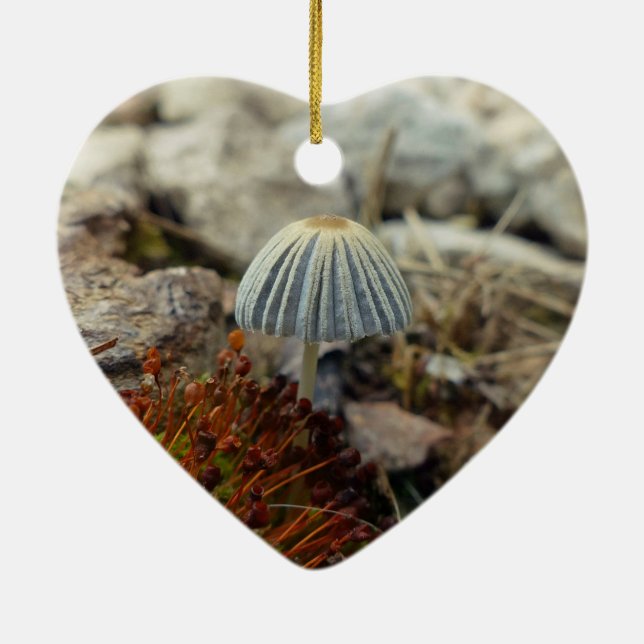 Ornamento De Cerâmica Toadstool pequenina (Verso)