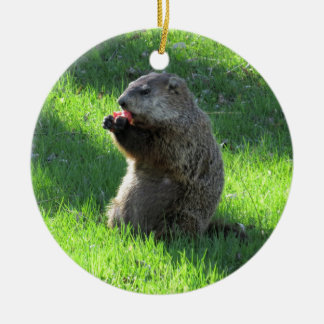 Ornamento De Cerâmica Tomate Groundhog