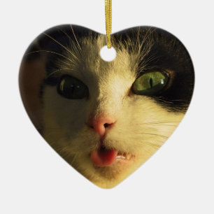 Ornamento De Cerâmica Tongue Cat