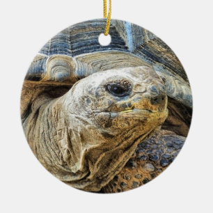 ORNAMENTO DE CERÂMICA TORTOISE