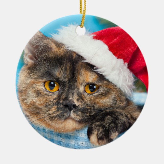 Ornamento De Cerâmica Tortoisesinferno Cat Purr-fect Holiday (Frente)