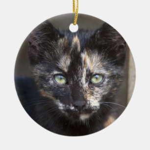 Ornamento De Cerâmica TortoisesInferno Kitten