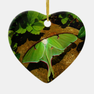 Ornamento De Cerâmica Traça de Luna verde gigante