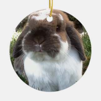 Ornamento De Cerâmica Traga algum furriness em sua vida!