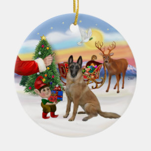 Ornamento De Cerâmica Tratado - Malinois Belga
