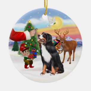 Ornamento De Cerâmica Tratar para um Cão de Montanha Bernês