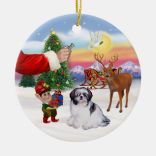 Ornamento De Cerâmica Tratar por um Shih Tzu (A)