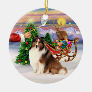 Ornamento De Cerâmica Tratar um Shetland Sheepdog ( nº 7)