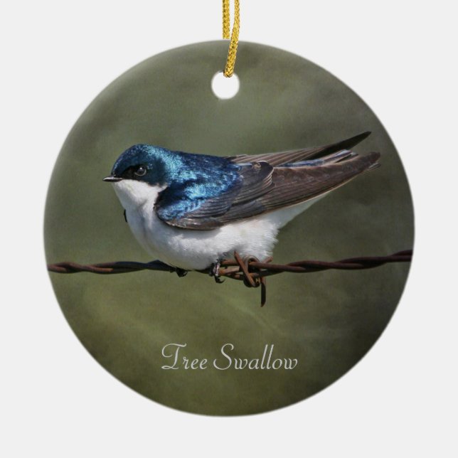 Ornamento De Cerâmica Tree Swallow Round (Frente)