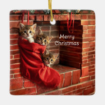 Três gatinhos numa meia de Natal