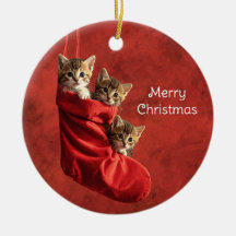 Três gatinhos numa meia de Natal