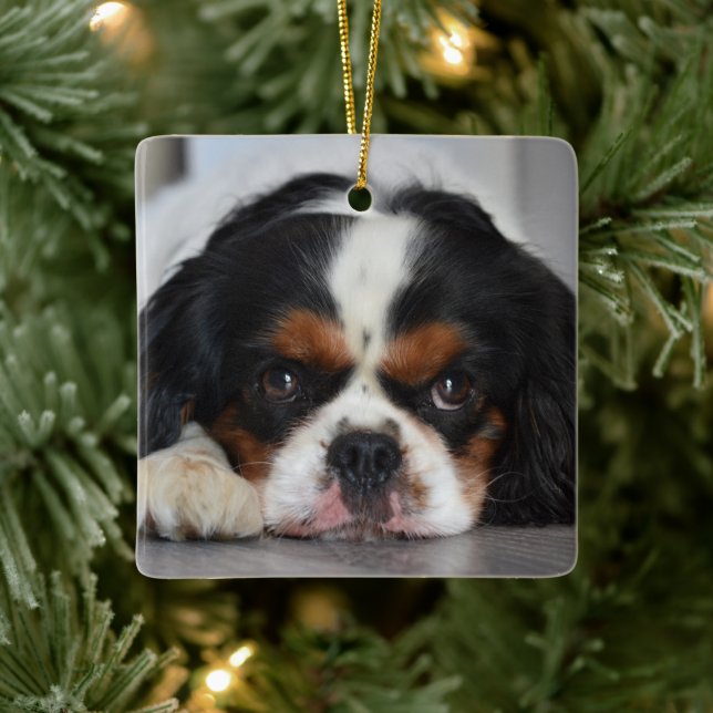 Ornamento De Cerâmica Tricolor Cavalier King Charles Dog (Árvore)