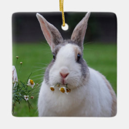 Ornamento De Cerâmica TriColor Dutch Dwarf Mini Coelho