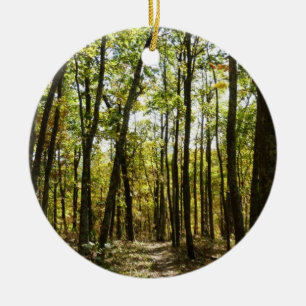 Ornamento De Cerâmica Trilha Appalachian em outubro em Shenandoah