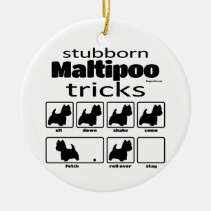 Ornamento De Cerâmica Truques Maltipoo Stubborn