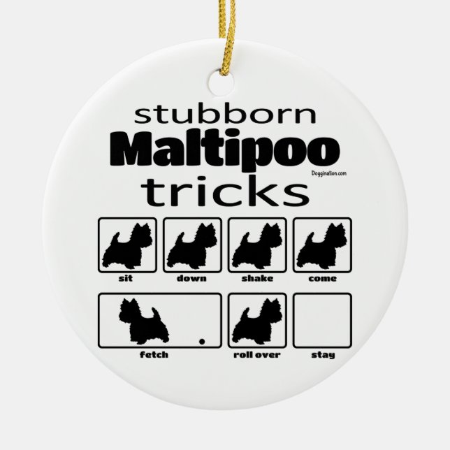 Ornamento De Cerâmica Truques Maltipoo Stubborn (Frente)
