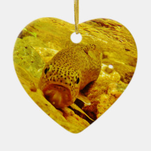 Ornamento De Cerâmica Truta em fluxo