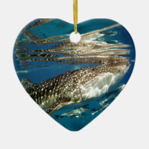 Ornamento De Cerâmica Tubarão de baleia e peixes do remora