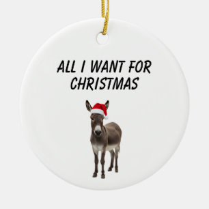 Ornamento De Cerâmica tudo o que eu quero para o Natal é um burro,