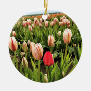 Ornamento De Cerâmica Tulipa Rosa Destacando
