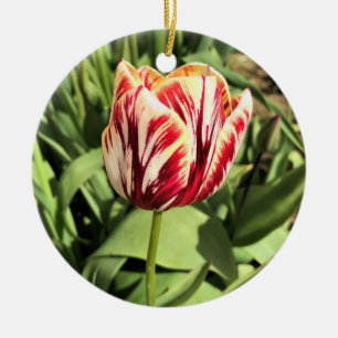 Ornamento De Cerâmica Tulipa Vermelha e Branca