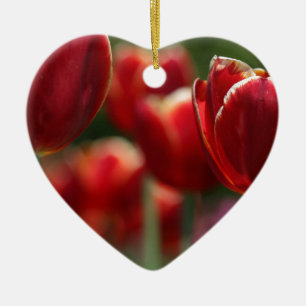 Ornamento De Cerâmica Tulipas