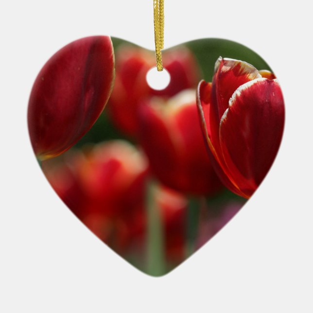 Ornamento De Cerâmica Tulipas (Frente)