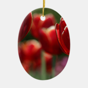 Ornamento De Cerâmica Tulipas