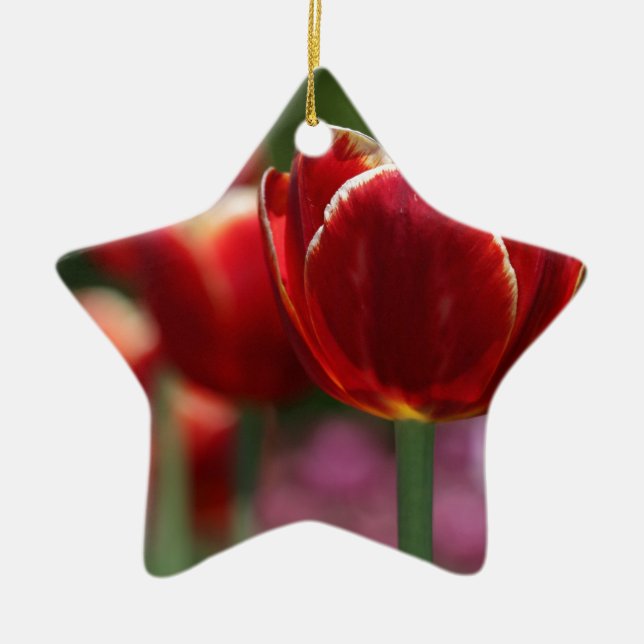 Ornamento De Cerâmica Tulipas (Frente)