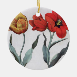 Ornamento De Cerâmica Tulipas: colore do cinnabrio do serotina do