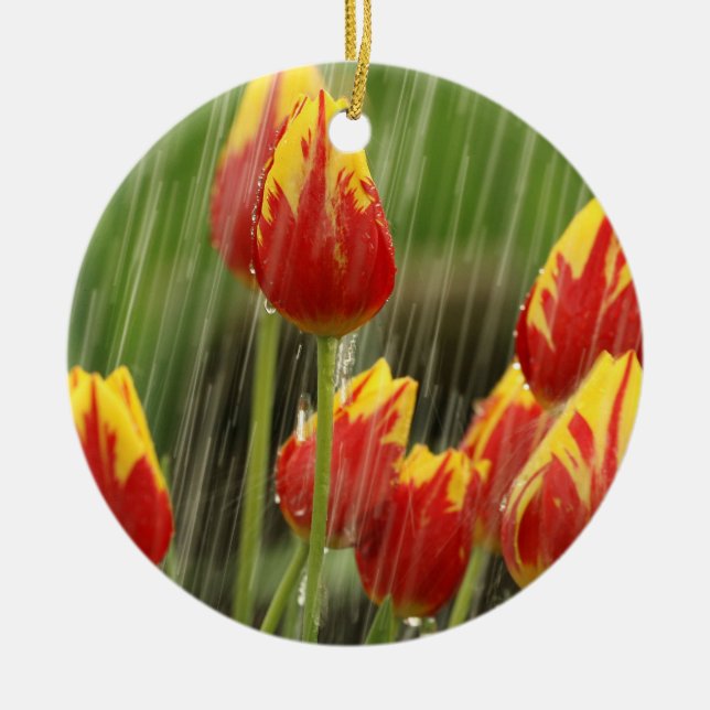 Ornamento De Cerâmica Tulipas do primavera (Frente)