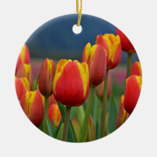 Ornamento De Cerâmica Tulipas para a mãe