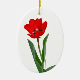 Ornamento De Cerâmica Tulips Cerâmica Ornament