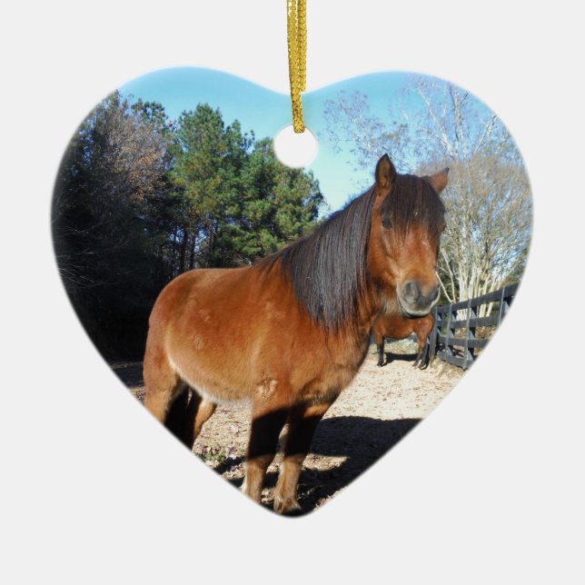 Ornamento De Cerâmica Turquesa do pônei castanho (Frente)