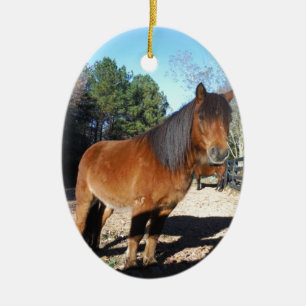 Ornamento De Cerâmica Turquesa do pônei castanho