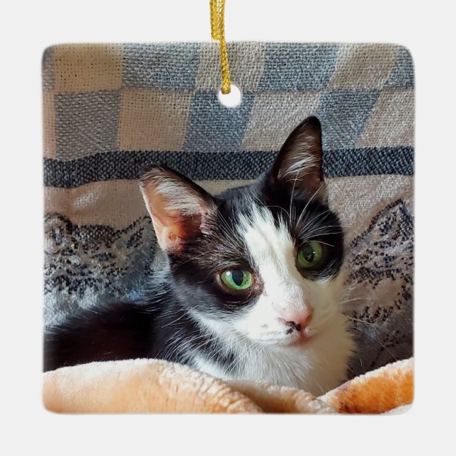 Ornamento De Cerâmica Tuxedo cat (Frente)