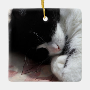 Ornamento De Cerâmica Tuxedo Cat Art Bonito Rosa Nose Gatos De Gato Rosa