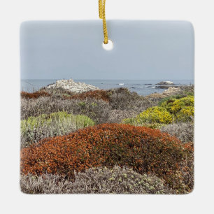 Ornamento De Cerâmica Um Blooming California: Asilomar State Beach