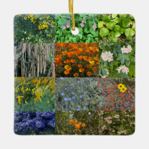 Ornamento De Cerâmica Um Blooming California: Cera da Celebração de Co