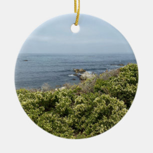 Ornamento De Cerâmica Um Blooming California: Coyote Bush pelo Mar