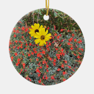 Ornamento De Cerâmica Um Blooming California: Fuchsia Sunflower