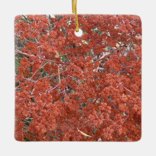 Ornamento De Cerâmica Um Blooming California: Rua, o Lace da Catherine