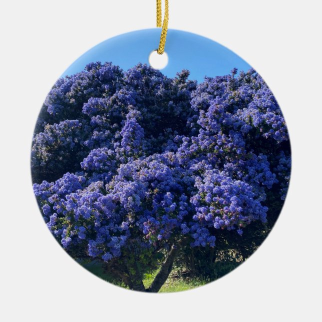 Ornamento De Cerâmica Um Blooming California: Wild Lilac (Frente)