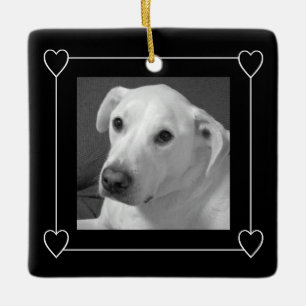 Ornamento De Cerâmica Um cachorro preto e branco com quadro cardíaco fot
